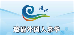 邀请外国人来华 邀请外国人来华