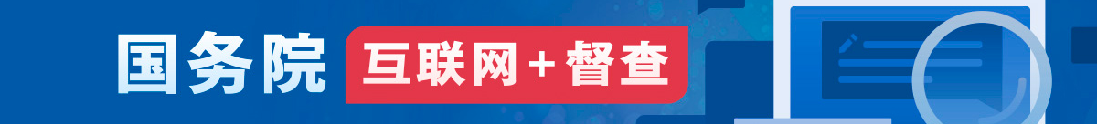 国务院互联网+督查
