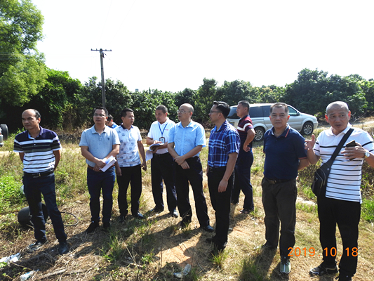 图片:DSCN1376_wps图片