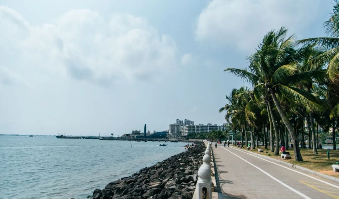 为什么会爱上湛江？