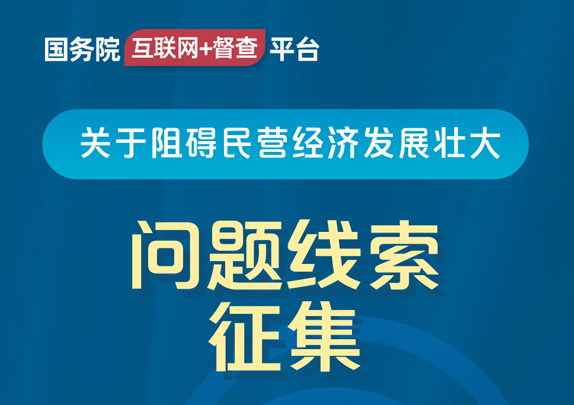 互联网+督查2 互联网+督查2
