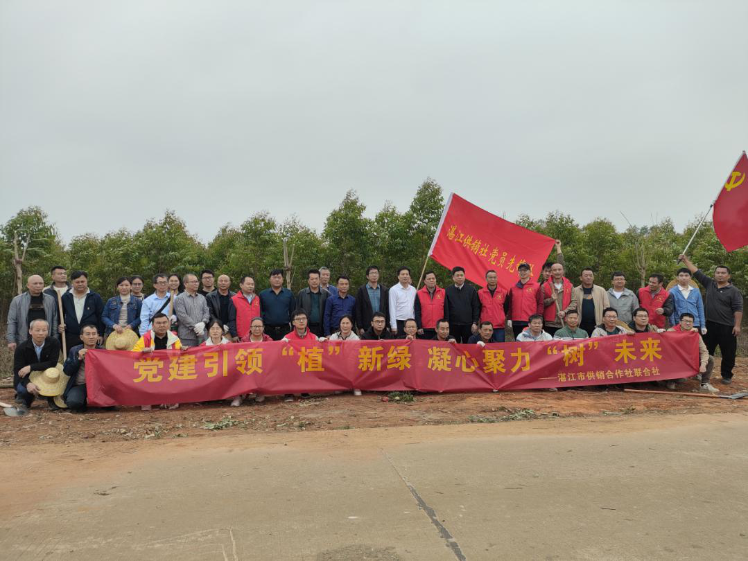 湛江市供销社开展“党建引领聚合力 喜树赋能百千万”联合主题党日活动 湛江市供销社开展“党建引领聚合力 喜树赋能百千万”联合主题党日活动