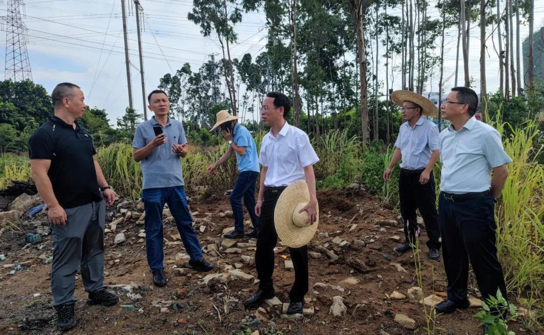湛江市卫生健康局主要领导调研重点项目和固定资产投资工作 湛江市卫生健康局主要领导调研重点项目和固定资产投资工作