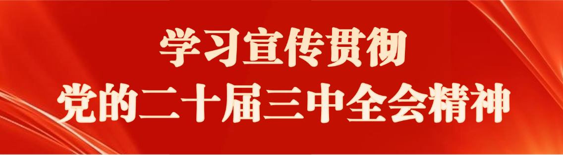 学习宣传贯彻党的二十届三中全会精神