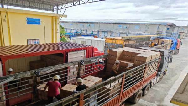 湛江市粮食和物资储备局全力做好接收和调运应急救灾物资工作