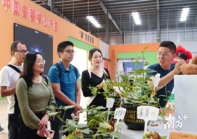 海大青年教师走进阳江核电有限公司调研。 海大青年教师走进阳江核电有限公司调研。