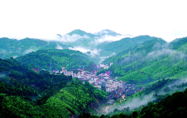 2024年以来,环“两山”引领区加快建设,农文旅融合发展势头正劲。