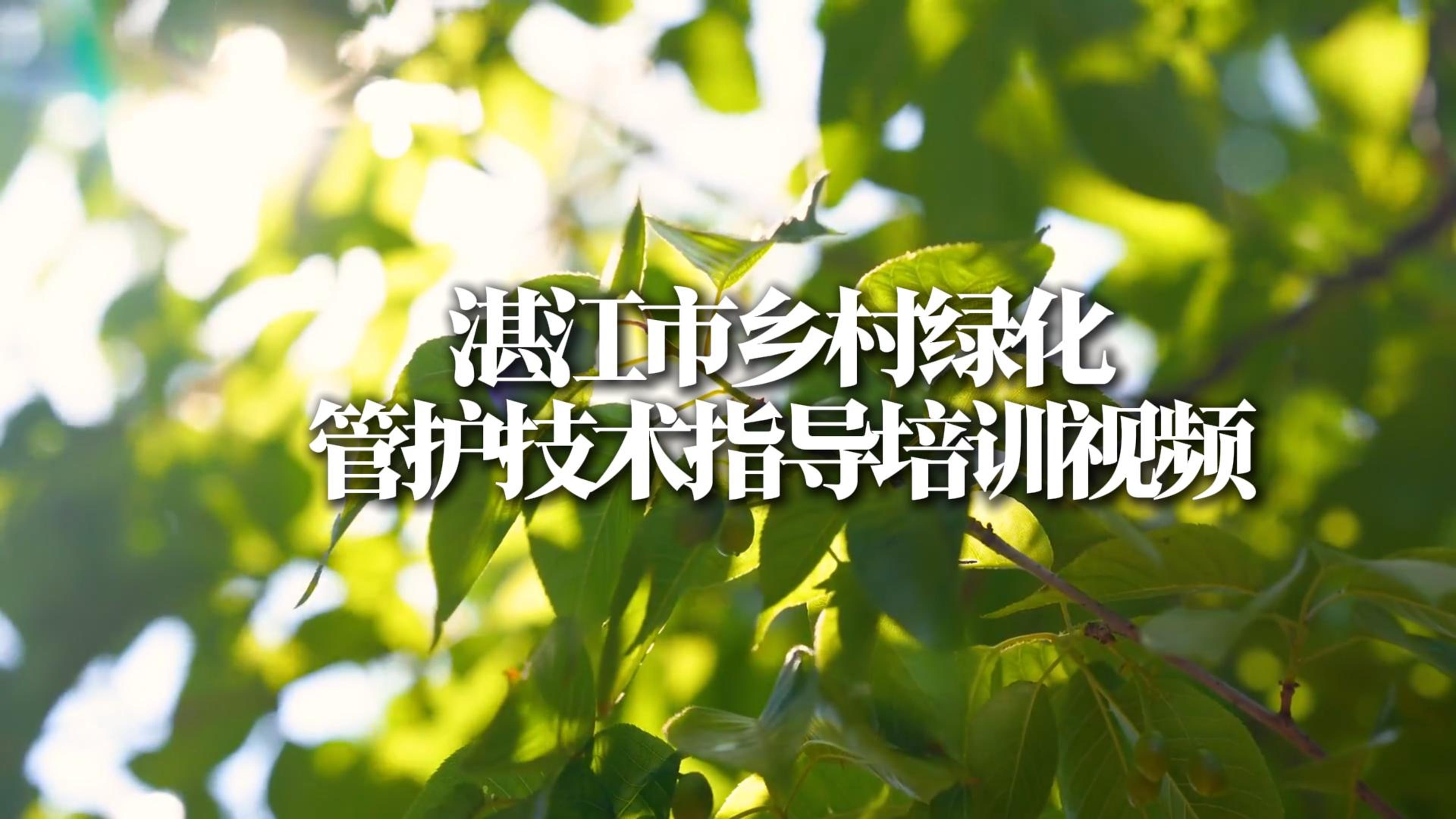 湛江市乡村绿化管护技术指导培训视频