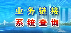 业务链接 系统查询 业务链接 系统查询